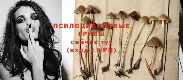 гашик Алзамай